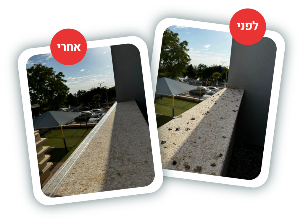 לפני ואחרי משמר הכנף